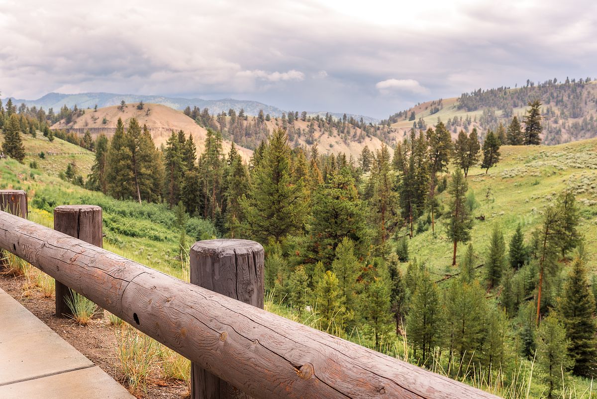Wide scenic view of Yellowstone National Park with cranberry twp, pa newborn photographer