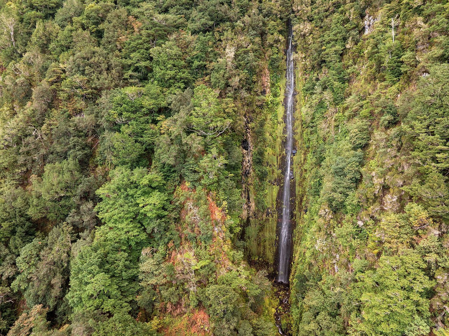 Felswandwasserfall