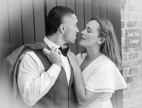 Latest Work (Portfolio Preview)