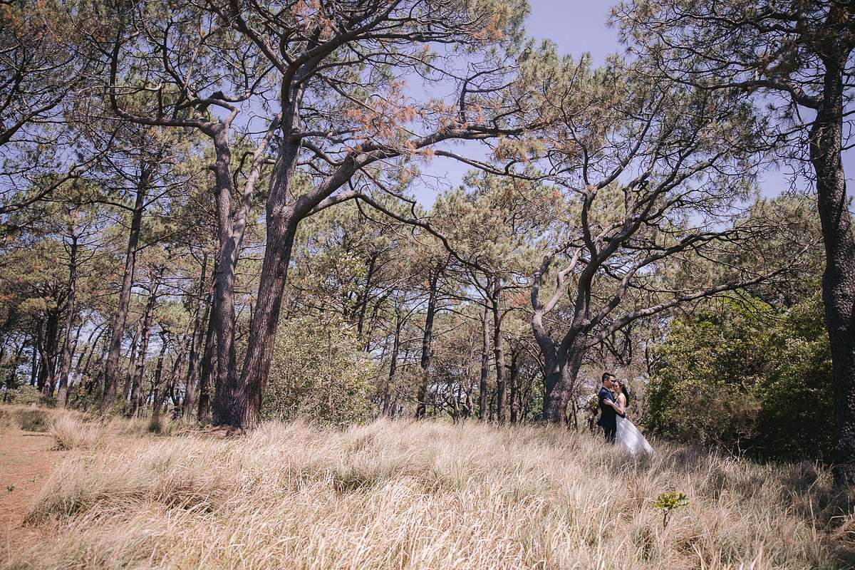 Wedding Photo at Pine Grove Centennial Park