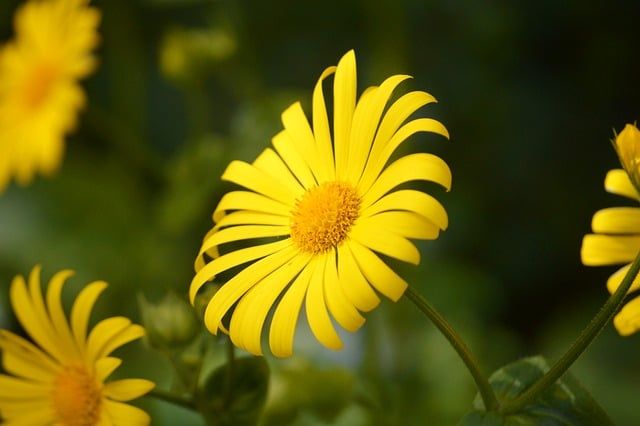 dannyROD Photography - New Braunfels Wedding Photographer