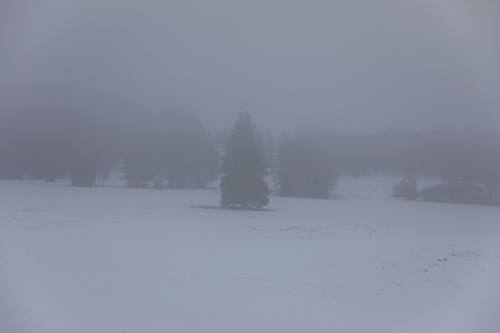 Minimal Landscapes