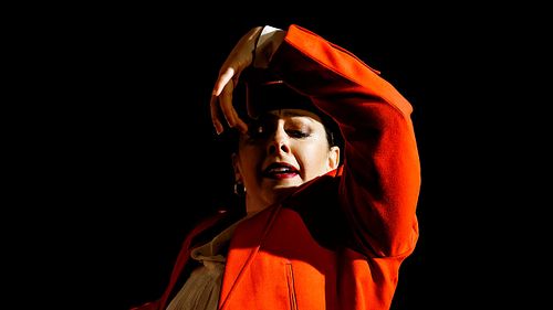 Danseuse de Flamenco en Andalousie