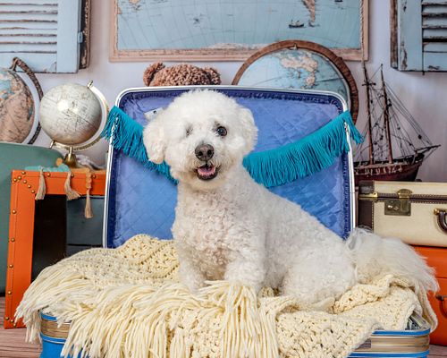 Pack Your Bags and Let's Have a Photoshoot!!