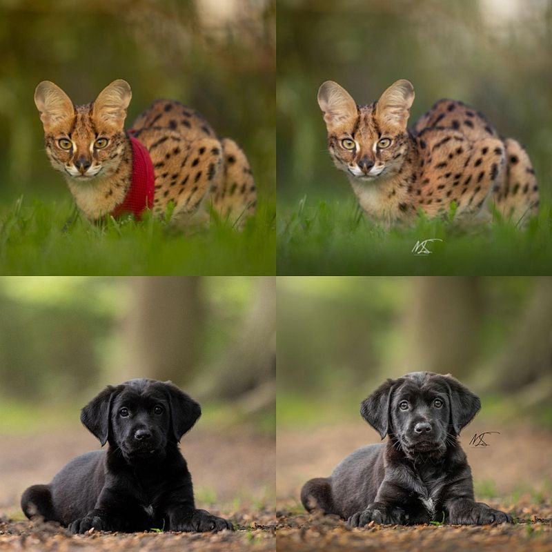 Before & after: mogelijkheden in de nabewerking