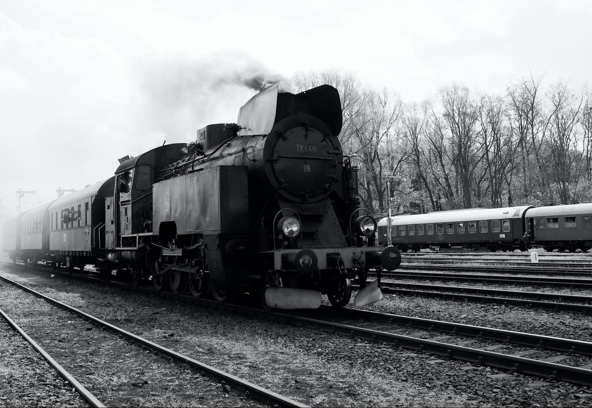 Black and White Photography