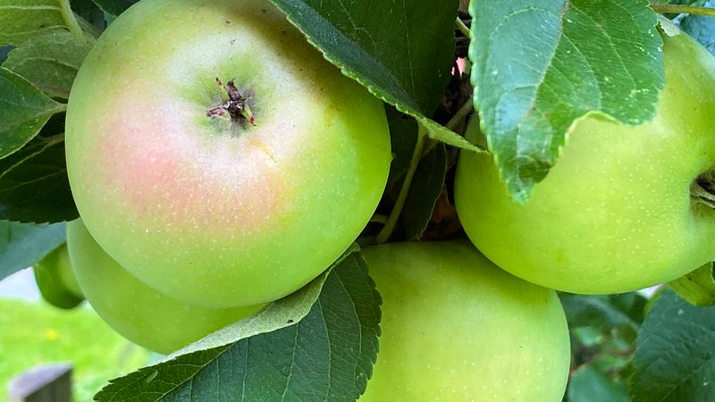 Ute til ca kl. 12:00 fredag