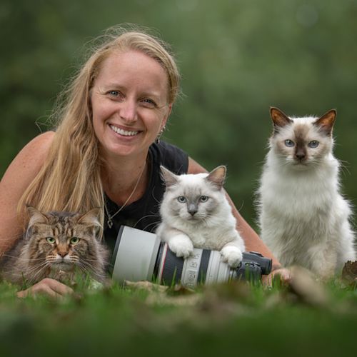 Een geweldige herinnering van en met jouw kat of kitten!