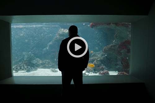 Could we regenerate cartilage to reimagine medicine?
