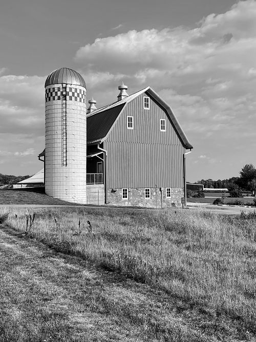 A Life Shaped by Wonder