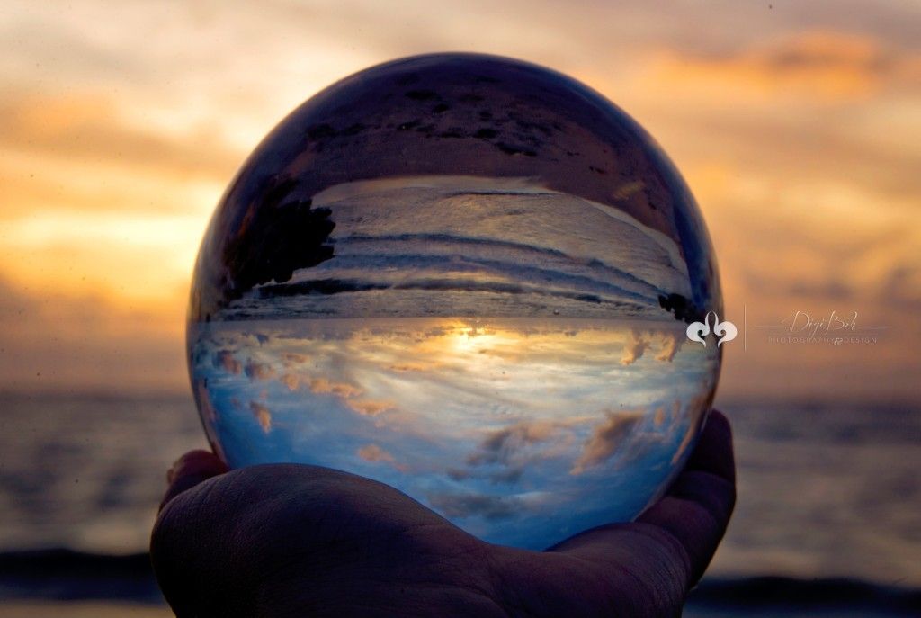 DigiBoh Photography and Design