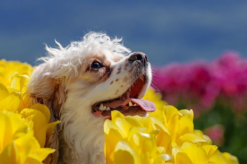 My Special Offer To You