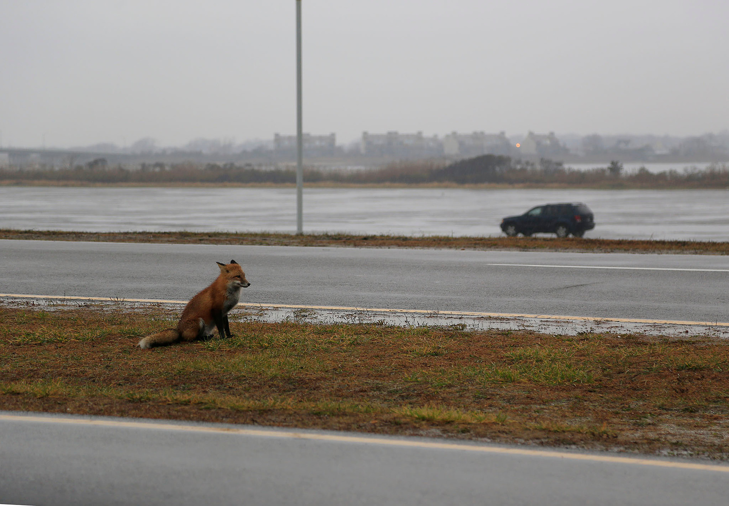 ALISON PERRY PHOTOGRAPHY