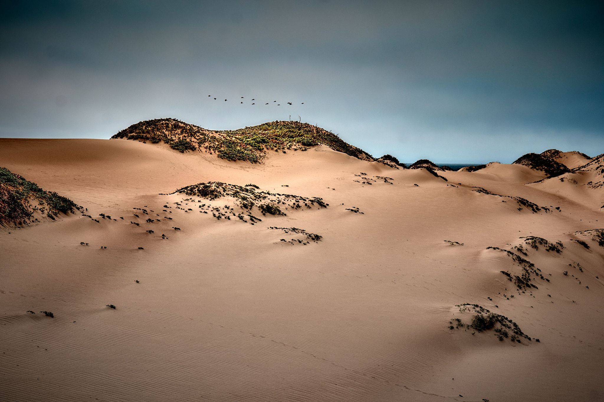 Rancho Guadalupe Dunes - Guadalupe, California