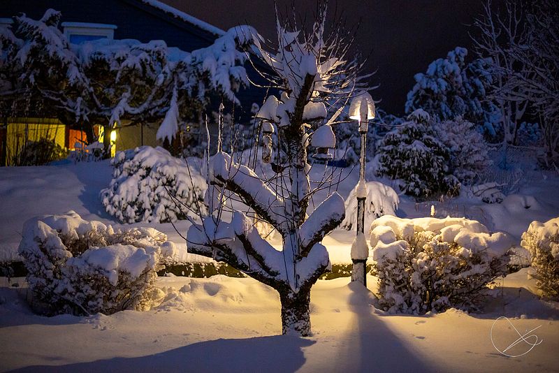 Fotoshoot heile dagen