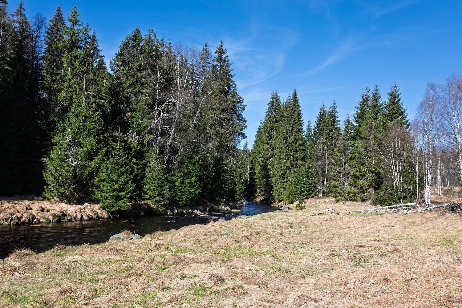 La rivière 