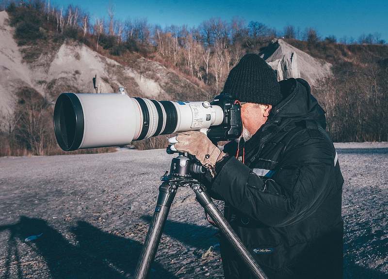 Unlock the Secrets of Jaw-Dropping Wildlife Shots with These Expert Tips!