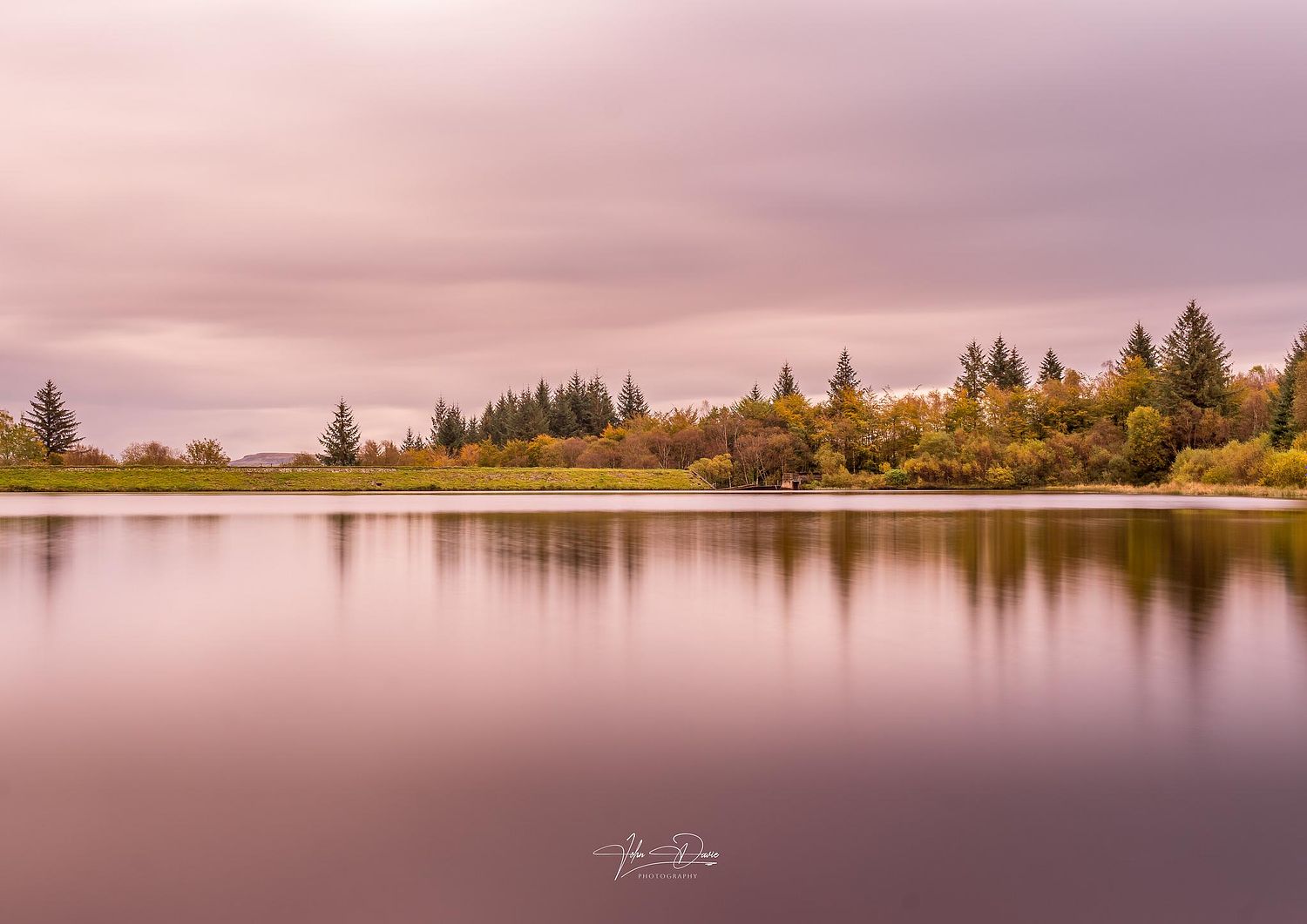 John Davie Photography