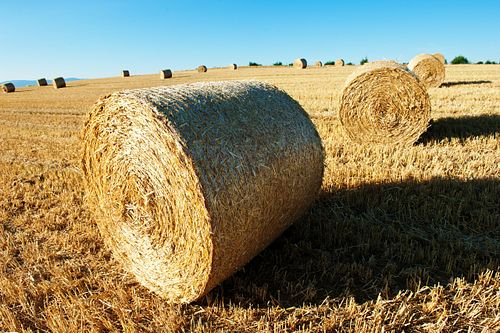 STROHBALLEN