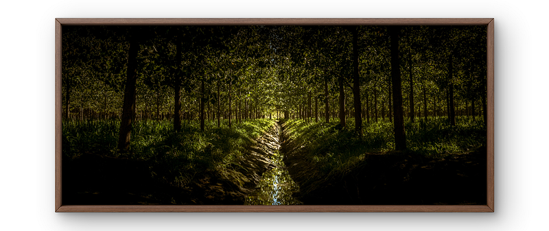 BOSQUE MAGICO - Delta, Tigre, Argentina