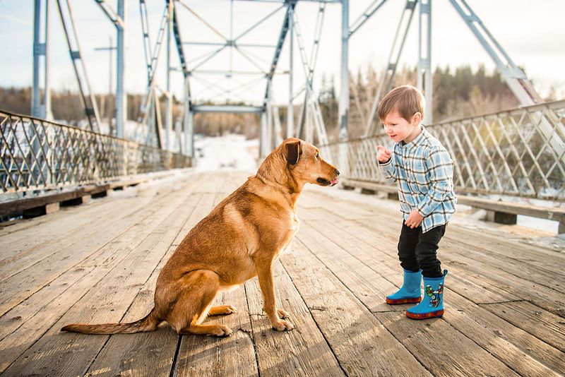 Let’s Bark About It: Why the Best Pet Portraits Are a Little Messy