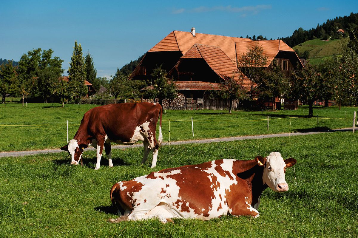 Kapelle Wilder Geschinen