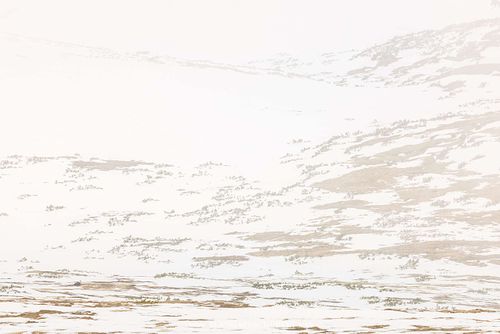 Alpenlandschaft mit Gämse