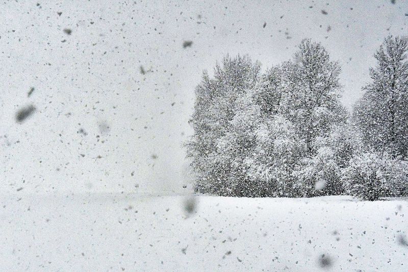 Saabuv lumesadu tõi lumelisa, tuues kaasa elektrikatkestusi.