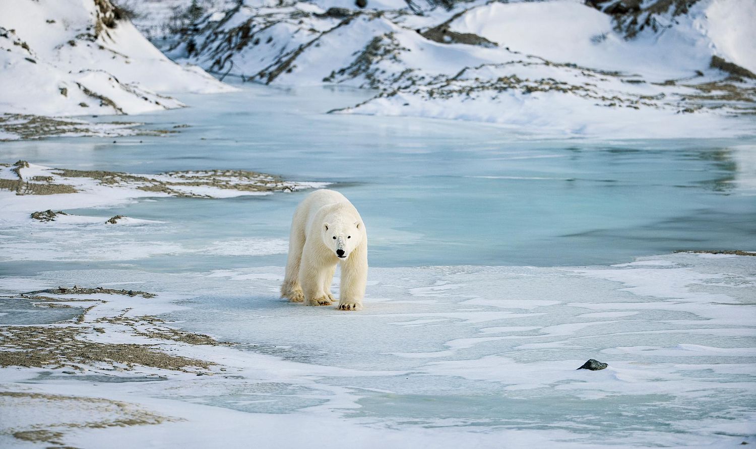 Ice patrol