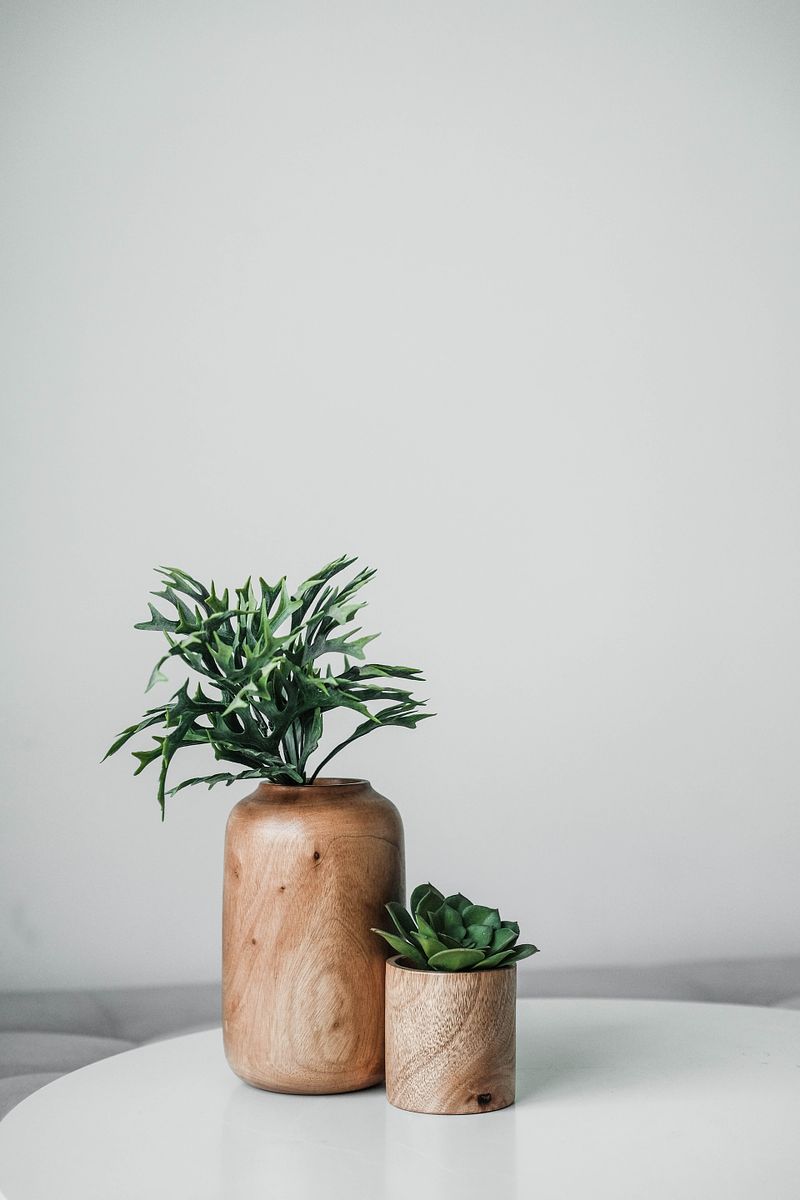 The Power of Plants: Enhancing Your Home with Indoor Greenery