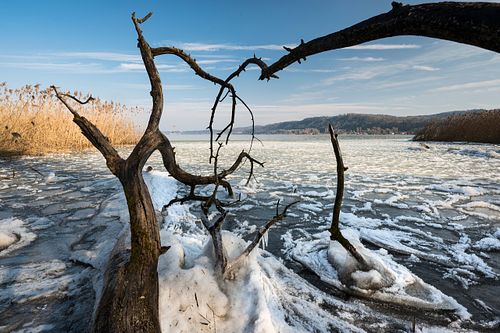 Frostiges Bielersee-Ufer