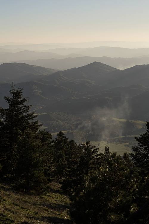 Panorama di colline e boschi marchigiani con foschia leggera, paesaggio naturale di montagna.