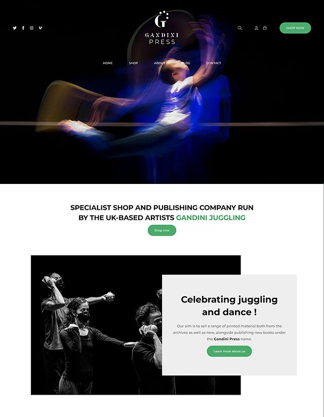 Gandini Press Portfolio Website Examples