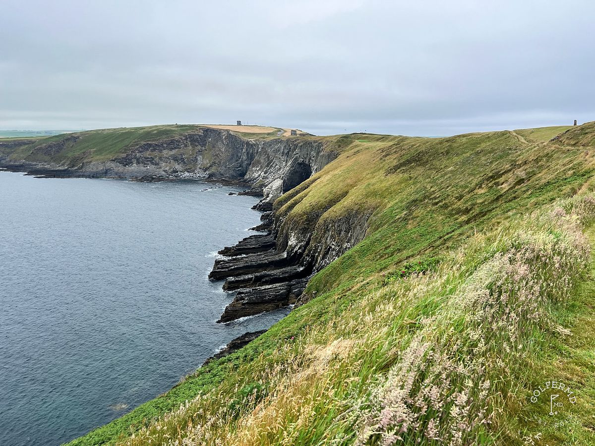 #5 Old Head