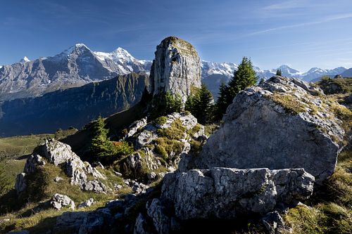 Auf der Schynige Platte
