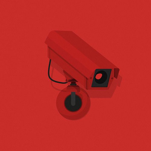 The Camera