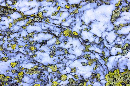 &ndash; SiO2 vs. Lichens