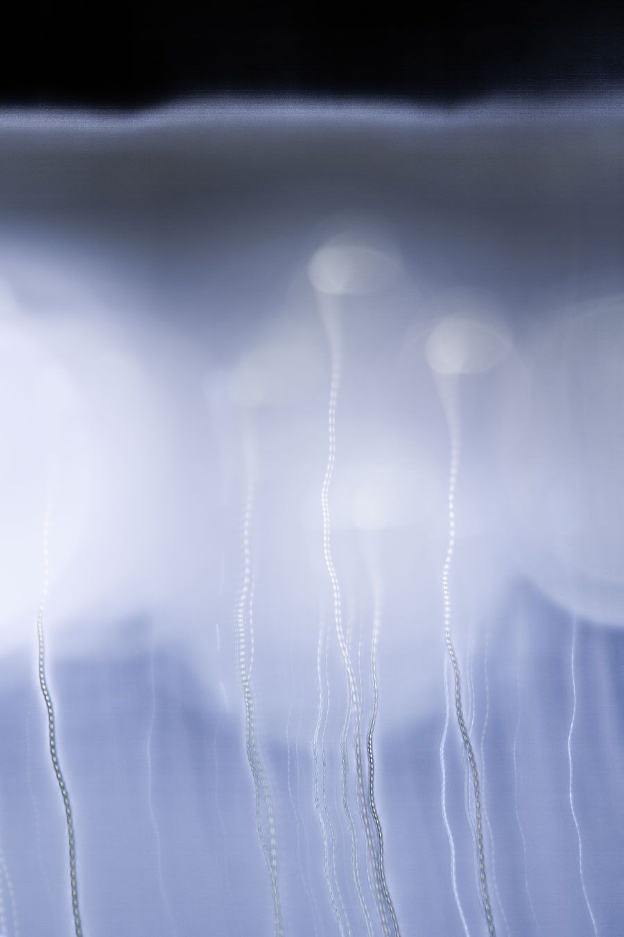 Lance Moore FIne Art Painting, Drawing, Photography