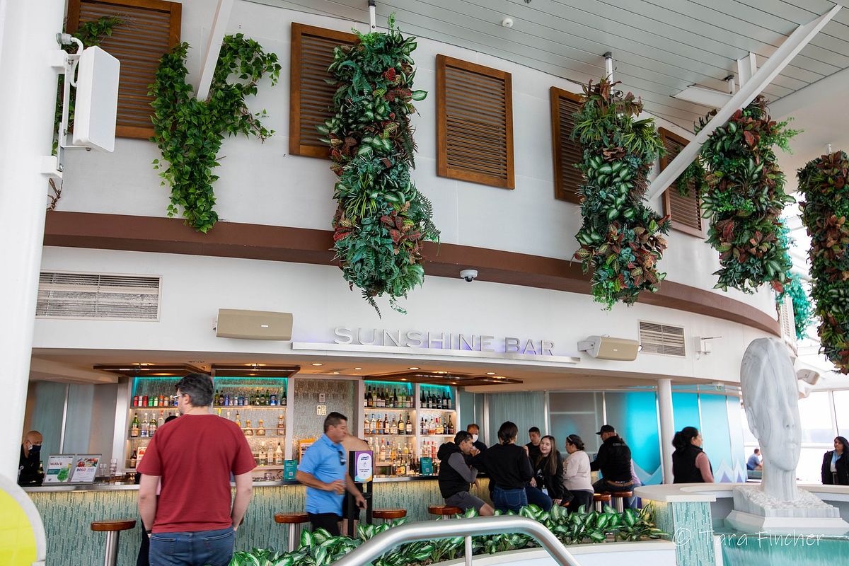 Tara Fincher - Montana Lifestyle & Wedding Photographer