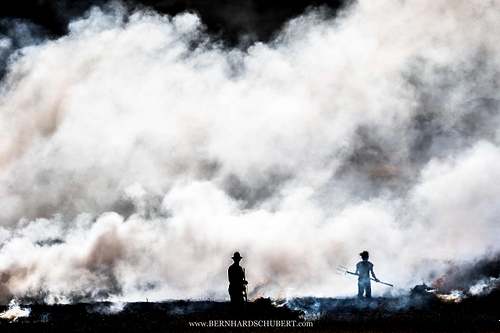 Fieldworkers