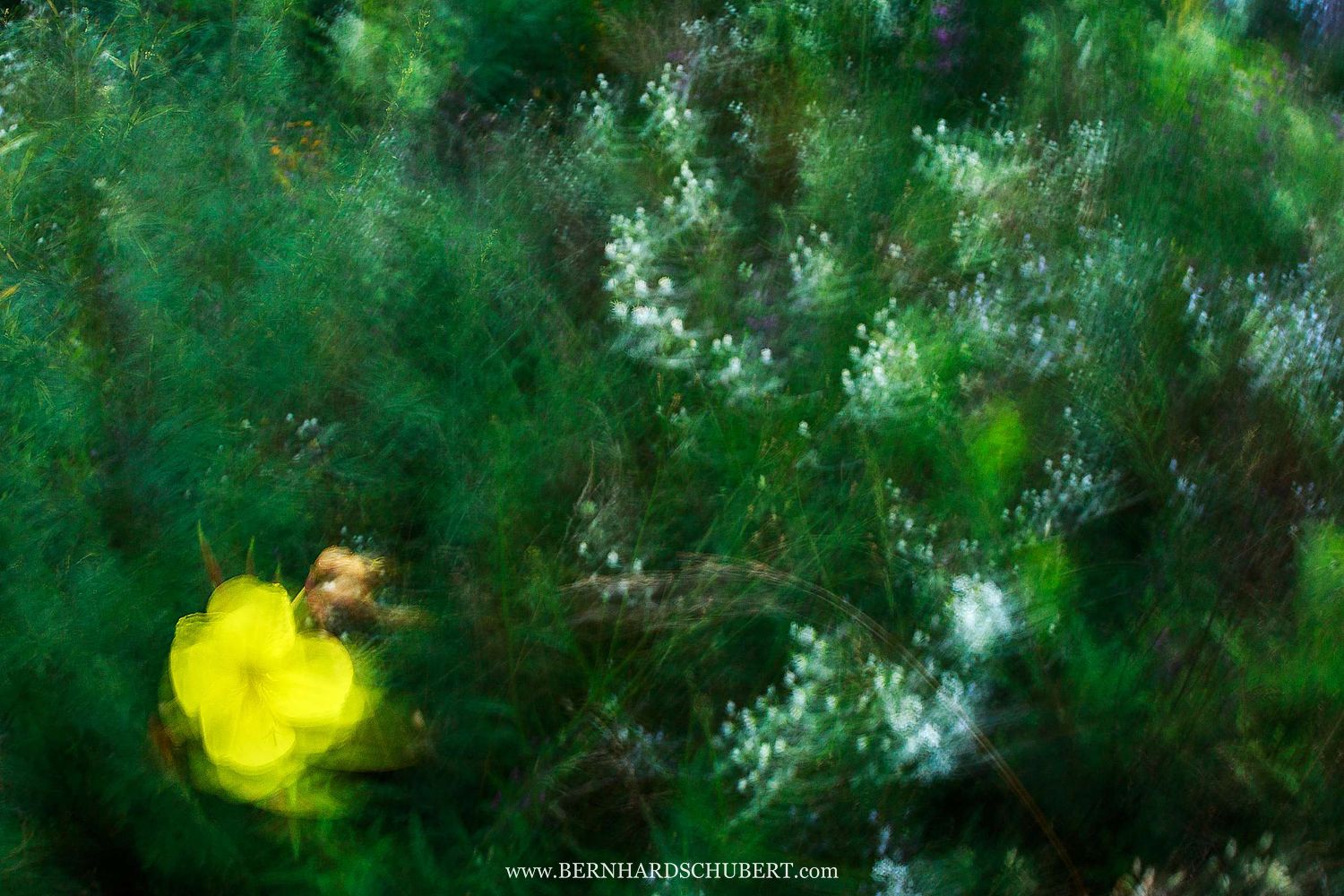 Abstrakte Blume