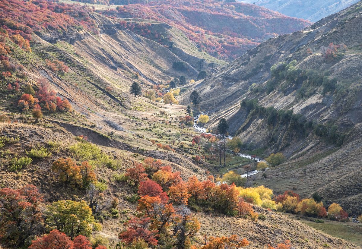 Otoño en Araucanía