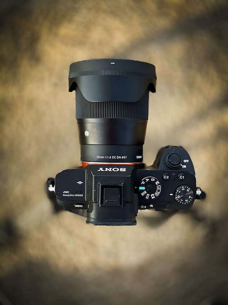 Best video settings to record wildlife