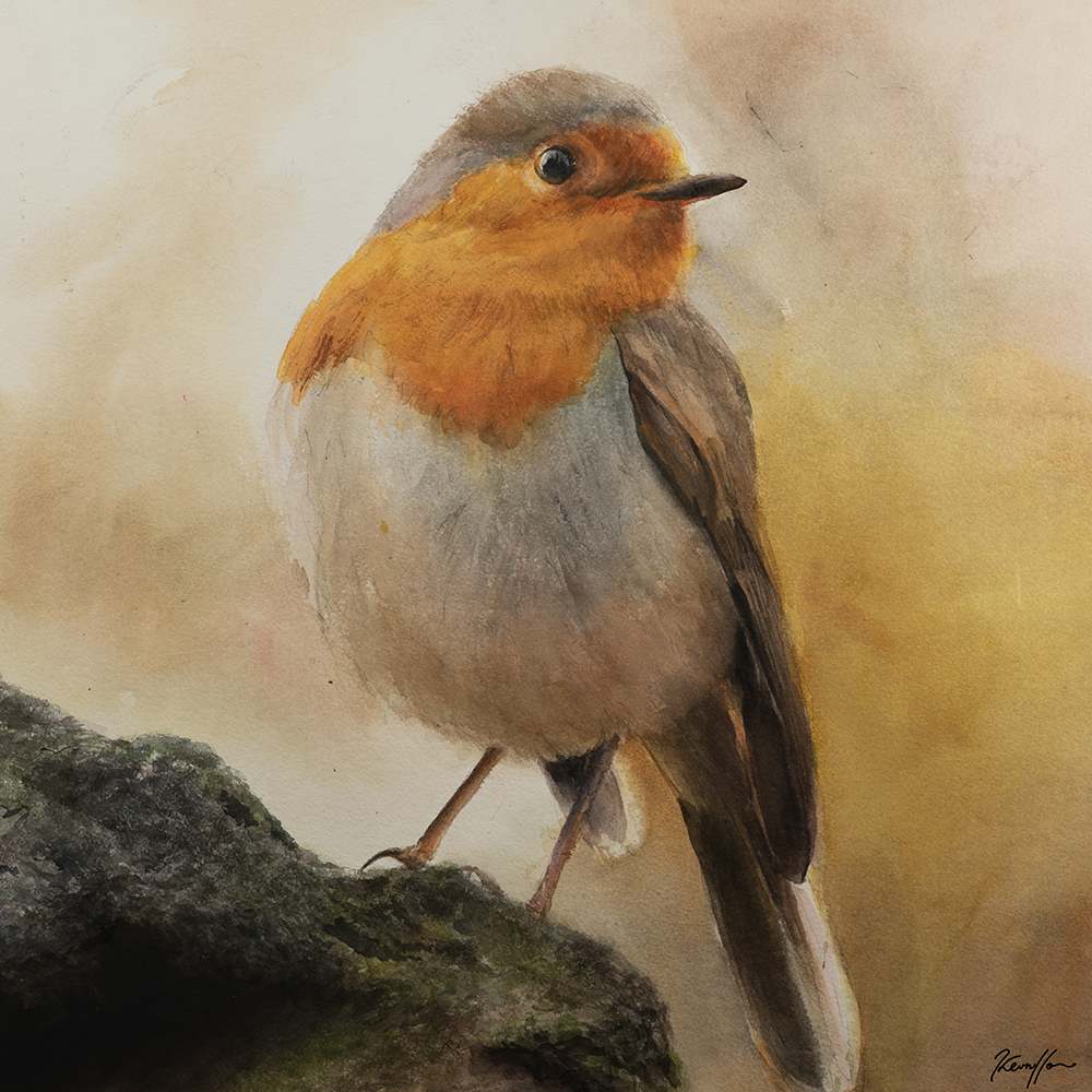 Robin