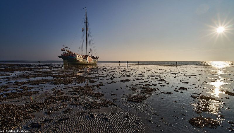 Midweek Oostelijke Waddenzee 5 dagen (4 - 8 mei 2026)