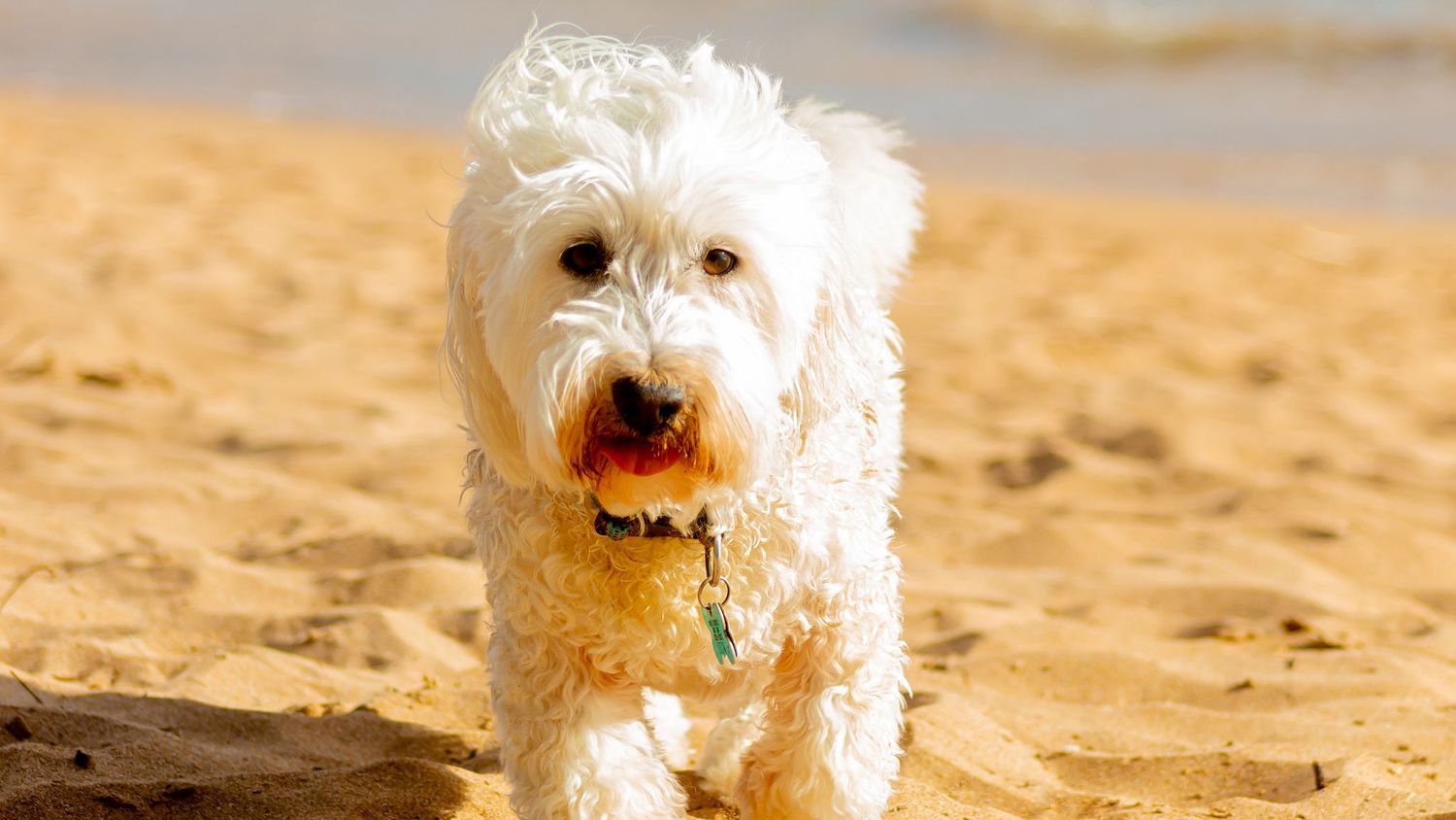 Pedro Nomberto Photography