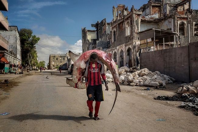 Tudo sobre prêmios fotográficos