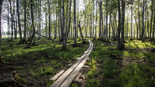 Naturschutzgebiet Fiskumvannet