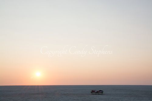 Cots at sunrise in a semi-arid sandy savanna in Africa