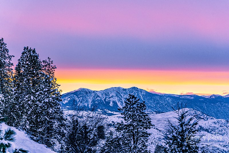 Natures Beauty